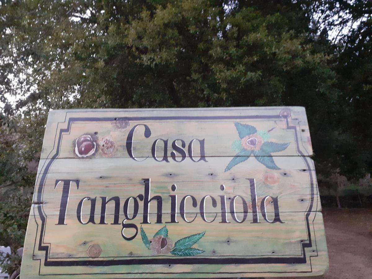 شقة Casa Tanghicciola Levie المظهر الخارجي الصورة