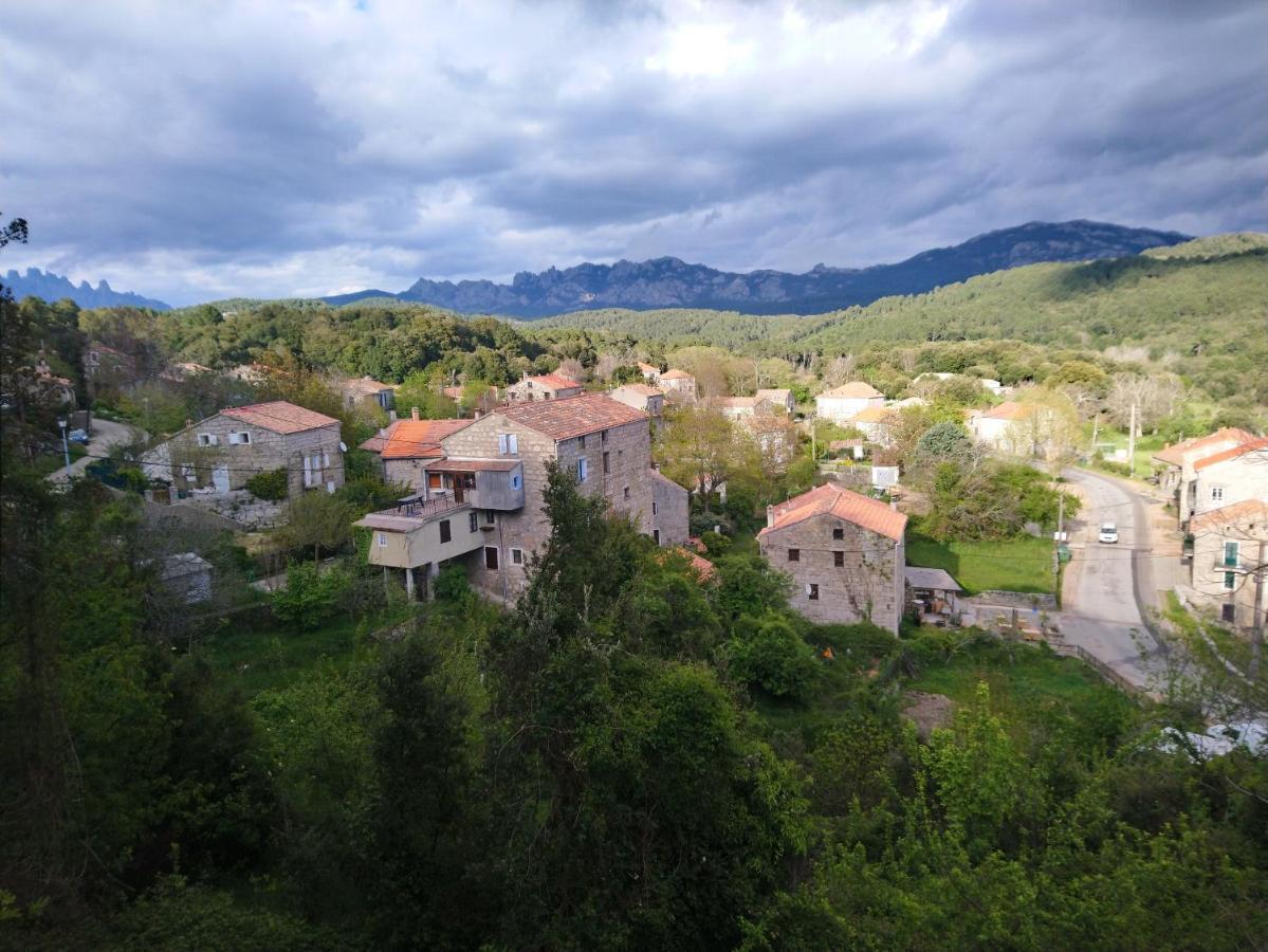 شقة Casa Tanghicciola Levie المظهر الخارجي الصورة